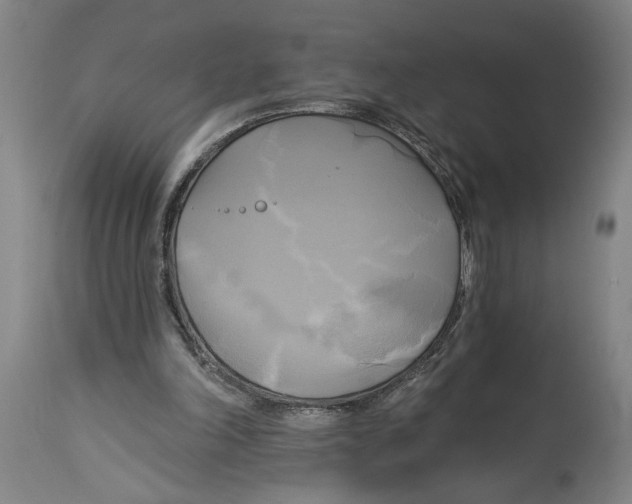 X0000114670198200911181215