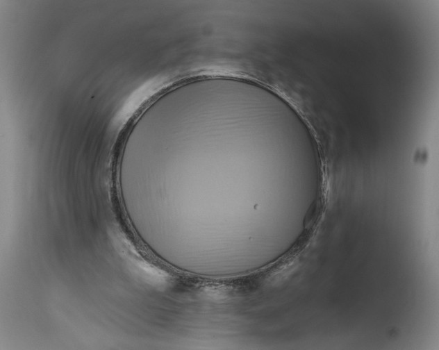 X0000114670199200911181215