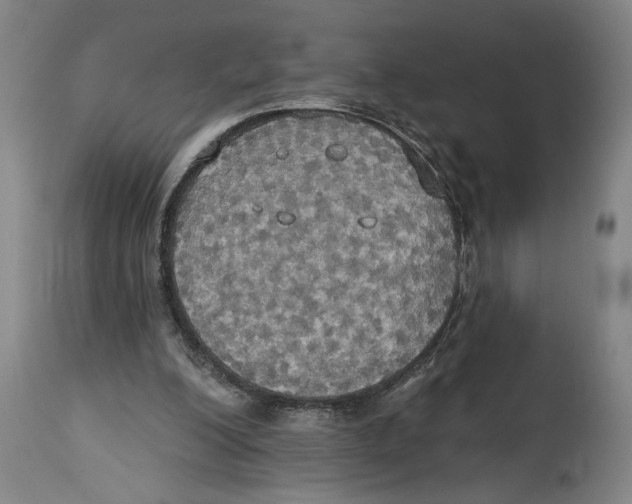 X0000114670200200911181215