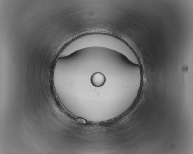 X0000114670201200911181215