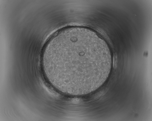 X0000114670204200911181215