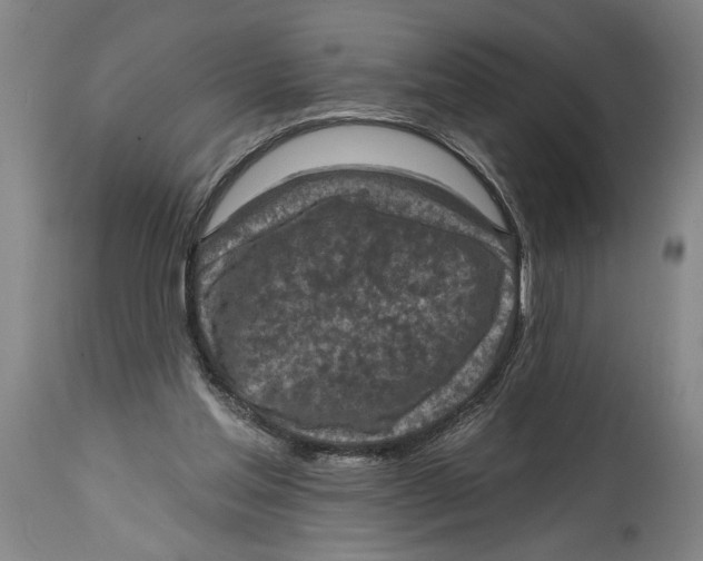 X0000114670205200911181215