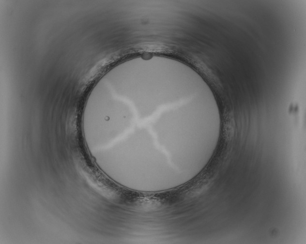 X0000114670207200911181215