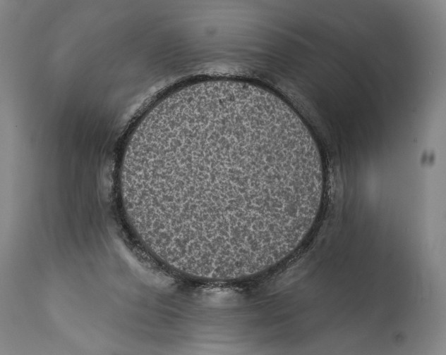 X0000114670208200911181215