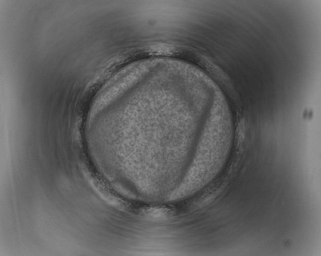 X0000114670209200911181215