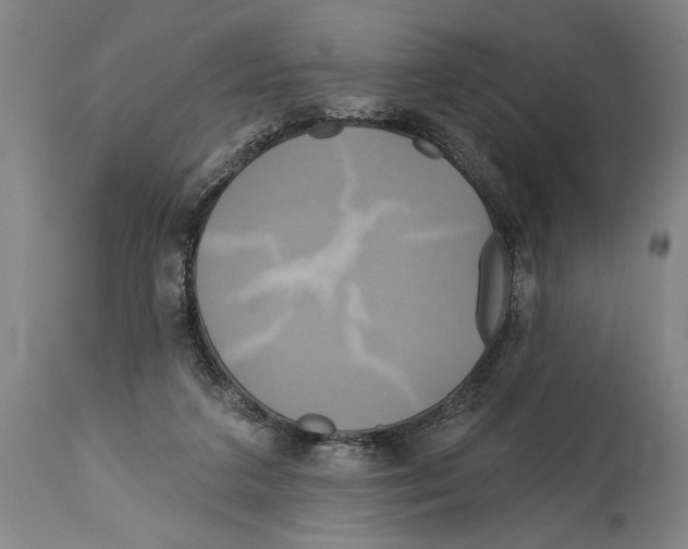 X0000114670211200911181215