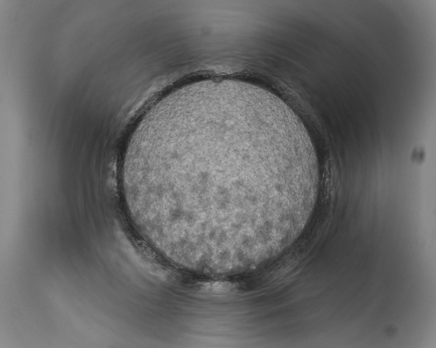 X0000114670212200911181215