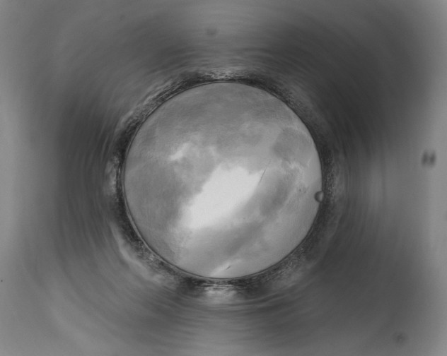 X0000114670214200911181215