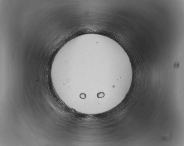 X0000114670215200911181214