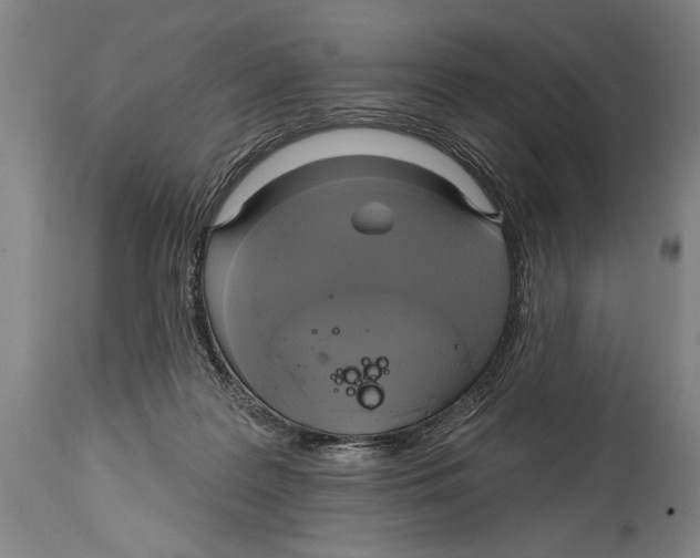 X0000114670219200911181214