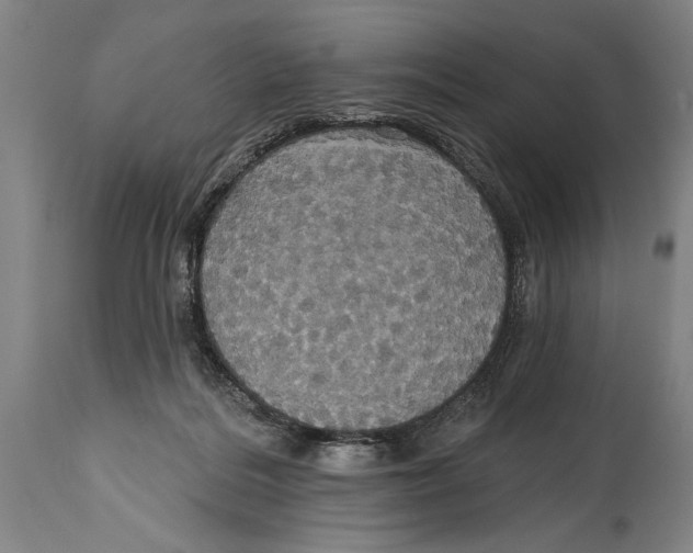 X0000114670220200911181214