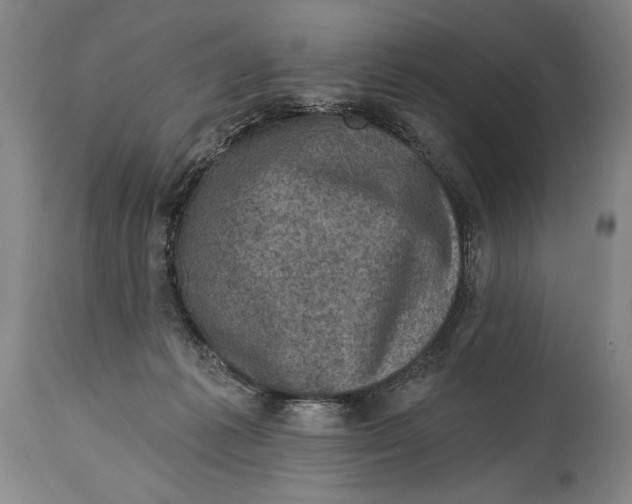 X0000114670221200911181214