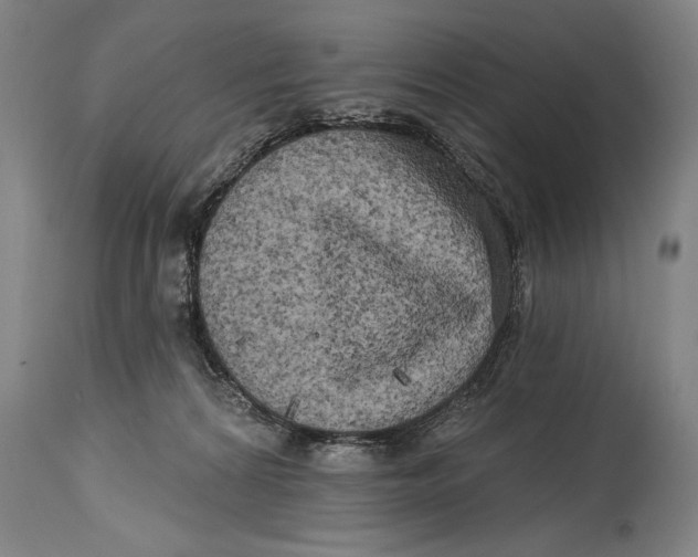 X0000114670224200911181214