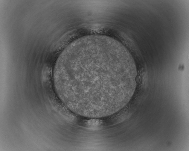 X0000114670225200911181214