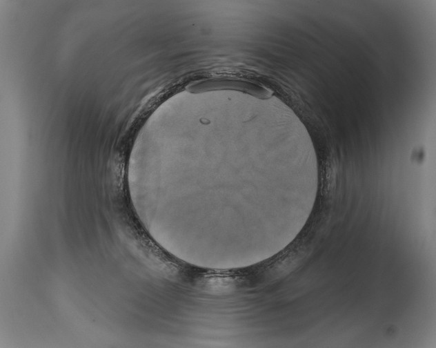 X0000114670228200911181214