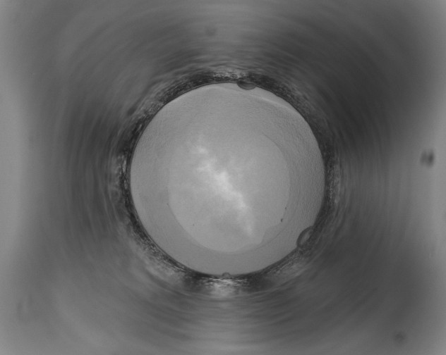 X0000114670229200911181214