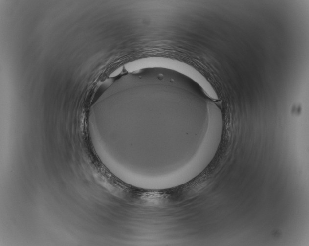 X0000114670231200911181214