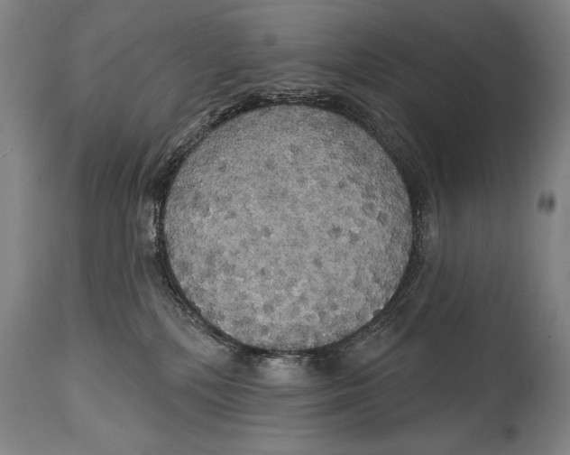 X0000114670232200911181214