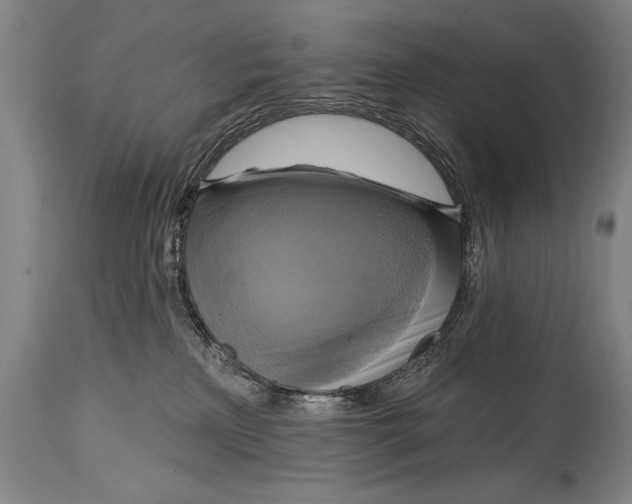 X0000114670233200911181214