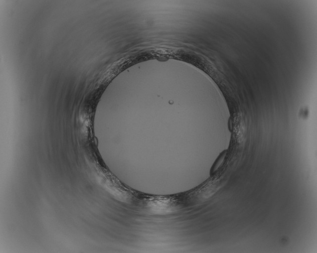 X0000114670235200911181214