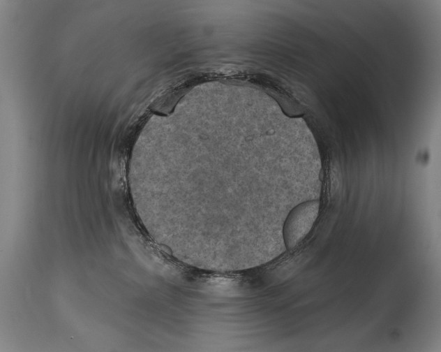 X0000114670236200911181214