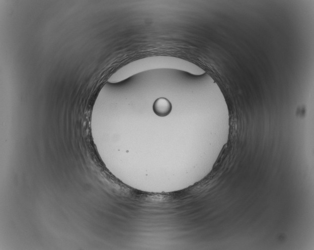 X0000114670237200911181214