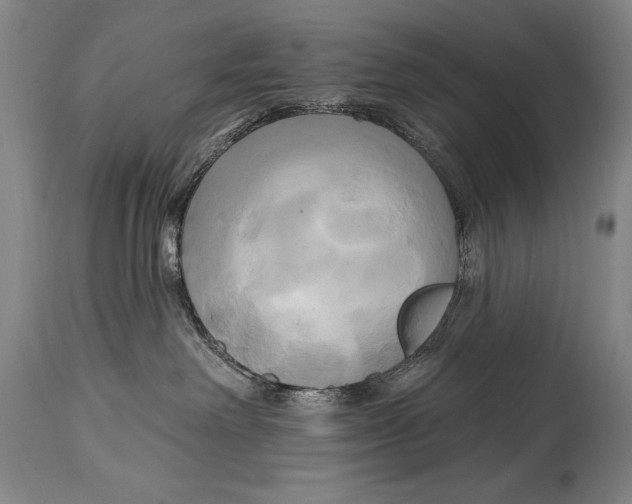 X0000114670238200911181214