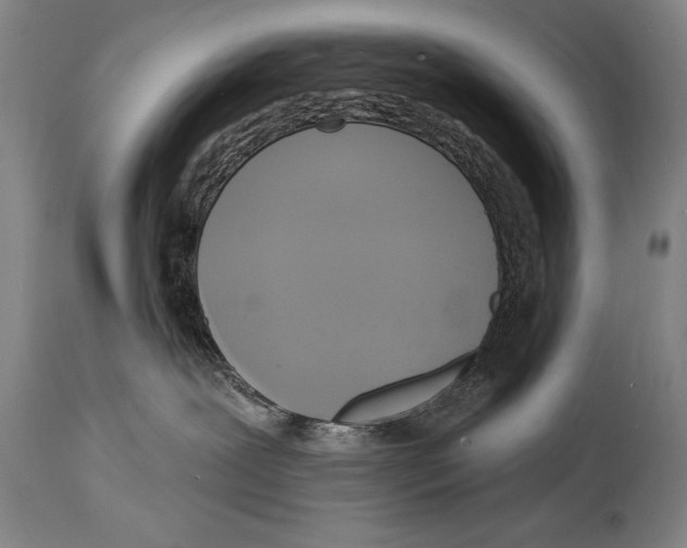 X0000114670239200911181214