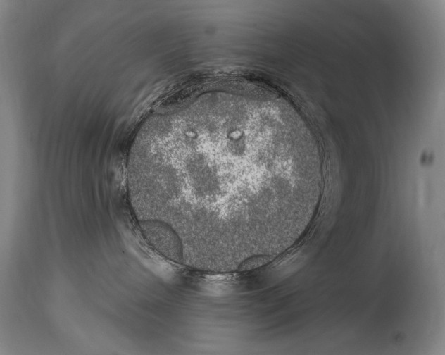 X0000114670240200911181214