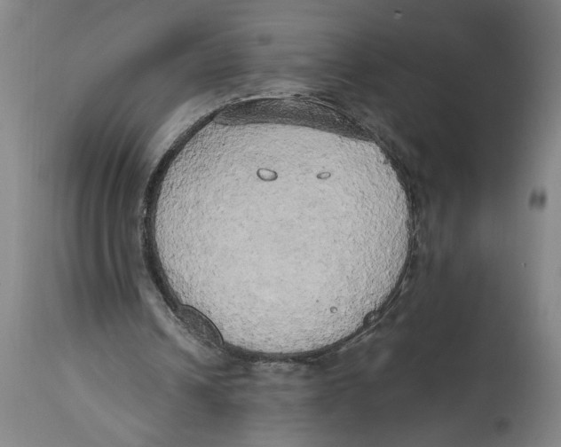 X0000114670242200911181214