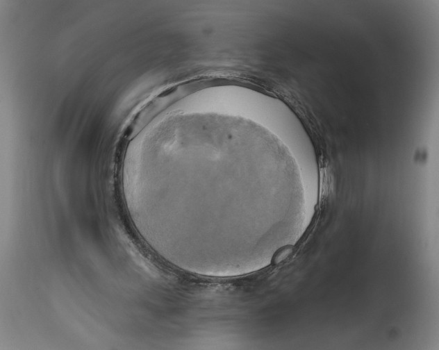 X0000114670243200911181214