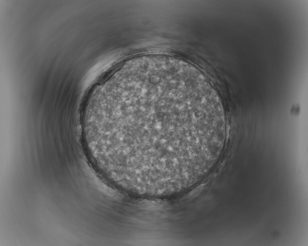 X0000114670245200911181214