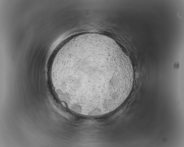 X0000114670246200911181214