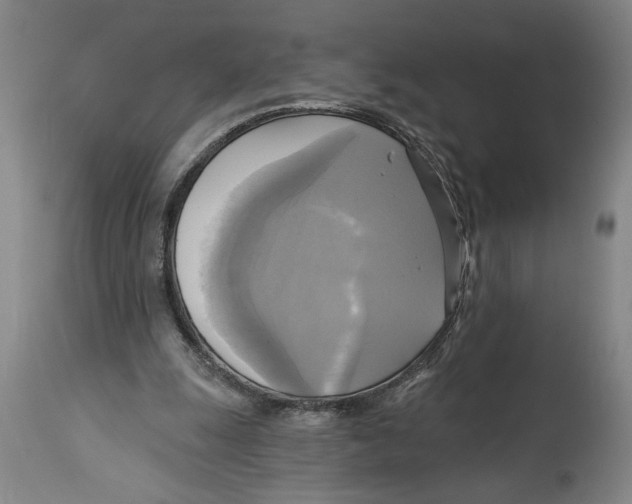 X0000114670247200911181214