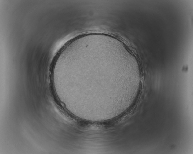 X0000114670248200911181214