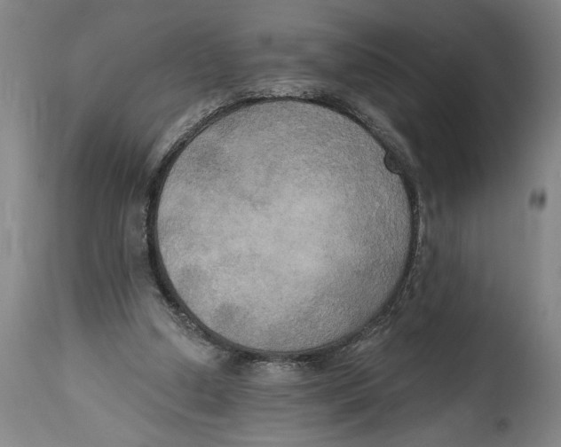 X0000114670250200911181214