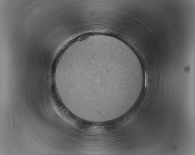 X0000114670252200911181214