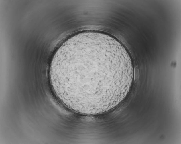 X0000114670253200911181214