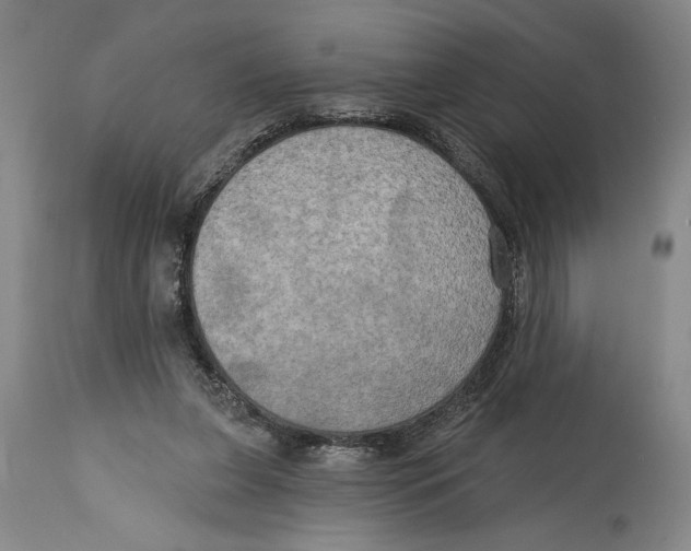 X0000114670255200911181214