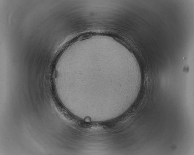 X0000114670256200911181214