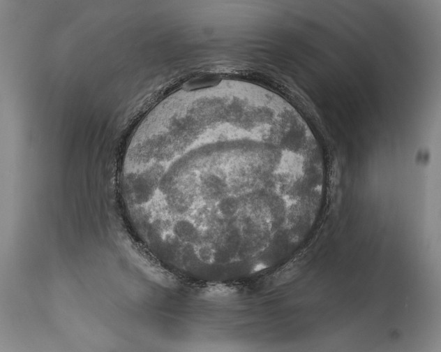 X0000114670257200911181214