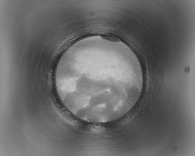 X0000114670258200911181214