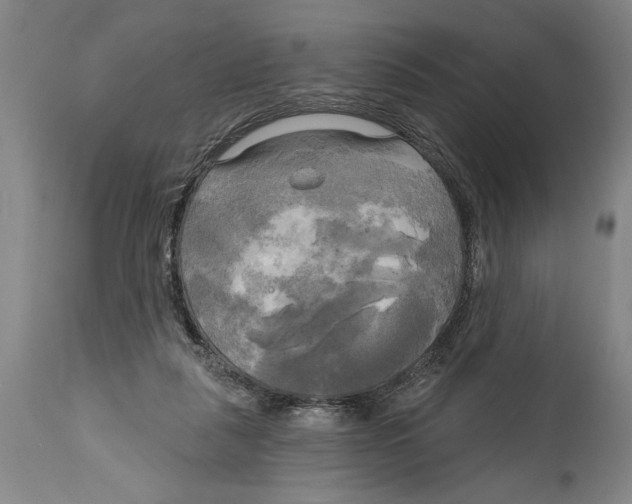 X0000114670259200911181214