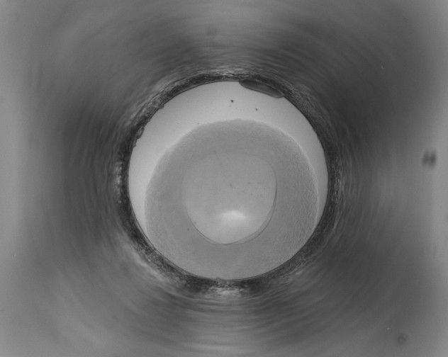 X0000114670260200911181214