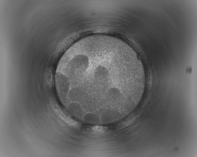 X0000114670261200911181214