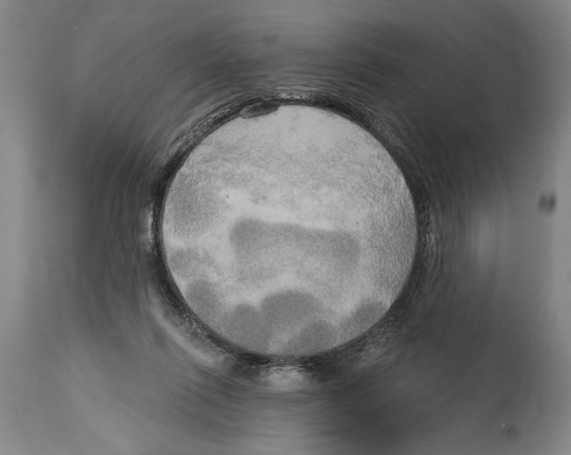 X0000114670262200911181214