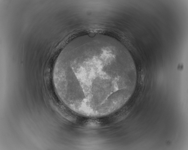 X0000114670263200911181214