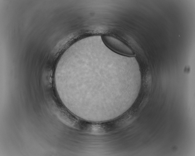 X0000114670264200911181214