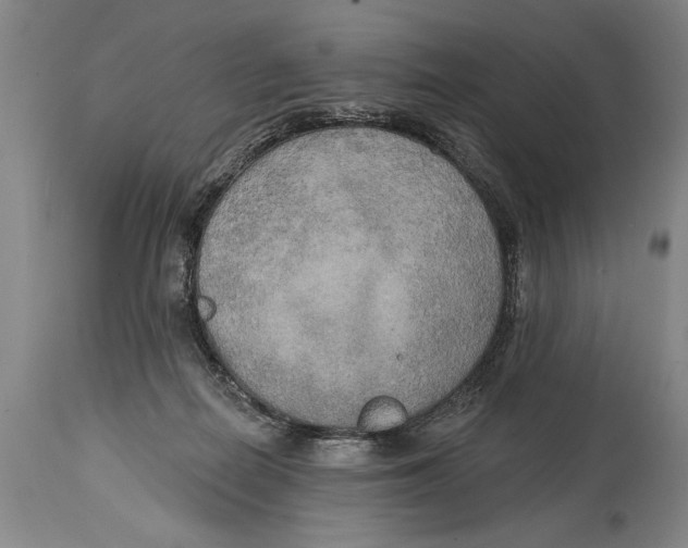 X0000114670266200911181214