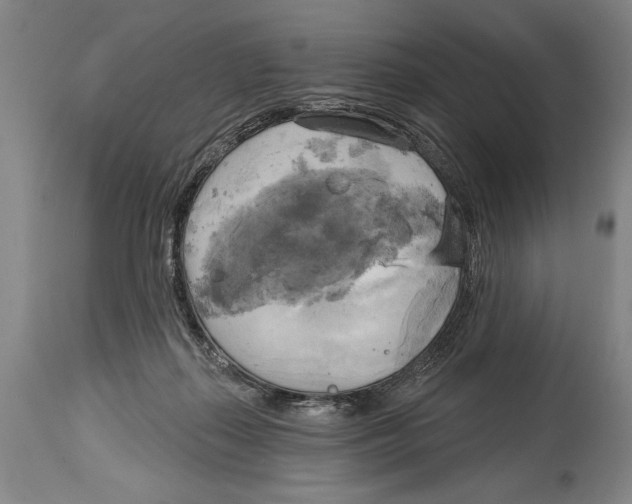 X0000114670267200911181214